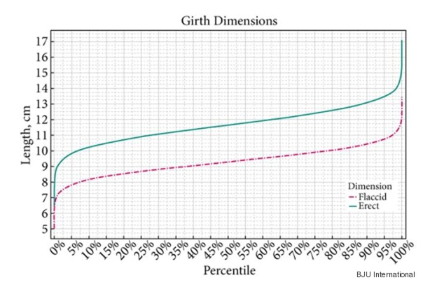 Average Penis Width