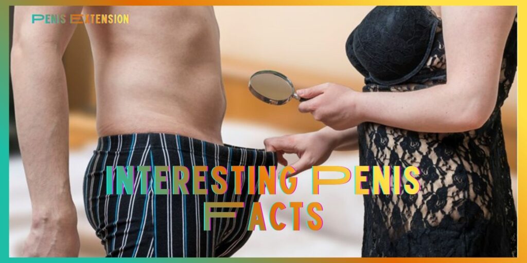 Interesting Penis Facts That Might Surprise You