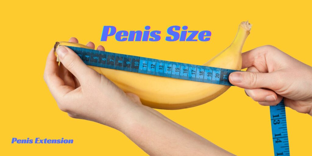 Penis Size and Physical Fitness: The Complete Truth