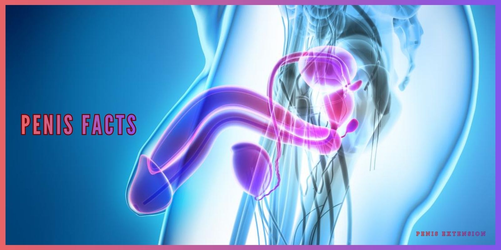 circumcision history facts