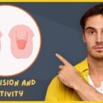 Foreskin and Nerve Endings