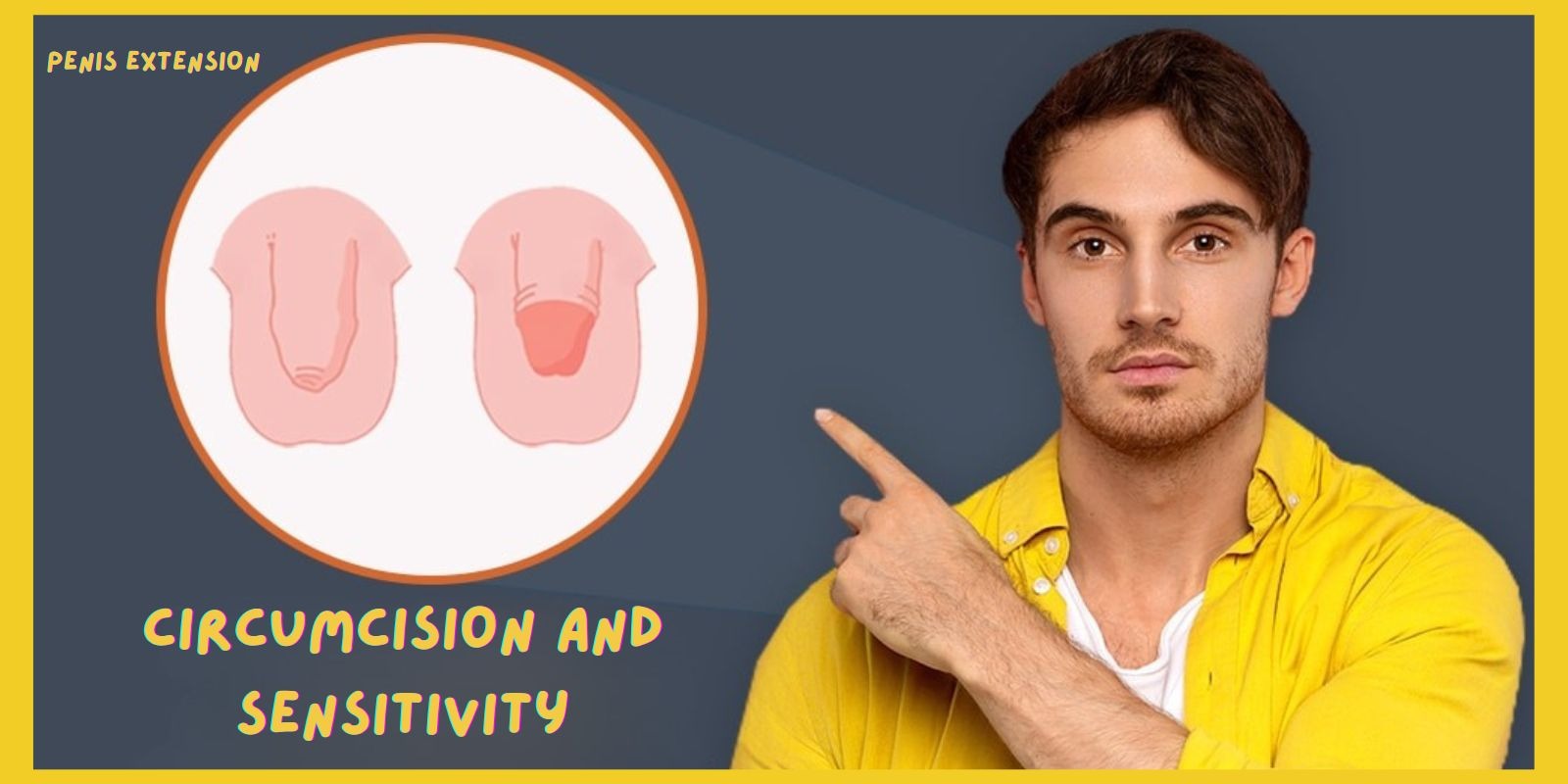 Foreskin and Nerve Endings