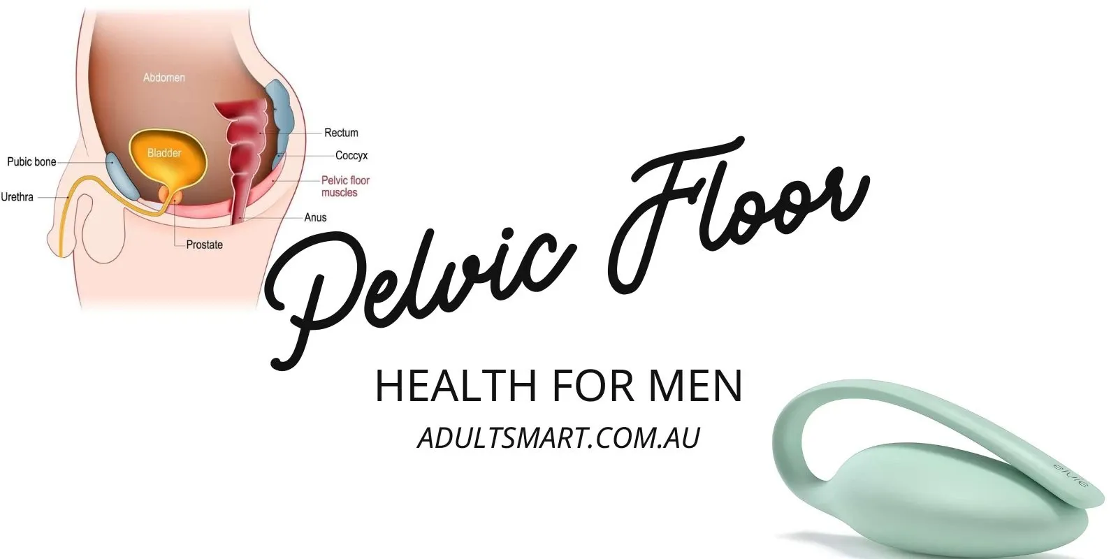 Male Pelvic Floor Dysfunction